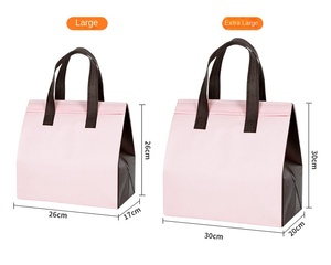 Insulated Non-woven Food-grade Cooler Bag Foldable & Portable with Zipper Closure for Cake Takeaway From Jiangsu - Product Image 1