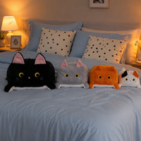 Coussin de canapé en peluche chat carré quatre couleurs avec doublure en maille anti-stress en flanelle longue en coton biologique