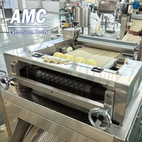 Ligne d'extrusion et de friture de granulés de collation AMC, ligne d'extrusion et de friture de granulés de collation, machine à chips 2D
