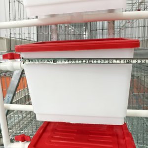 Cages à poulet <span class=keywords><strong>prix</strong></span> usine conception de <span class=keywords><strong>prix</strong></span> de couche d'oeufs galvanisé de haute qualité 96/120/128/160 oiseaux batterie poule poulet cage d'élevage - Product Image 5