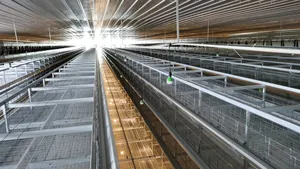 Hot Sale Save Space Galvanized Sheet Chicken Coop Cage Farming Equipment Chicken Farm