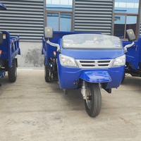 Tricycle utilitaire diesel à châssis renforcé pour le transport agricole et minier en Afrique du Sud - Vente chaude usine