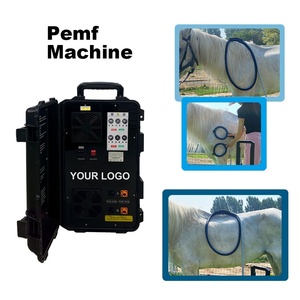 เครื่อง PEMF กำลังสูงสำหรับม้า แบบสองช่องสัญญาณ ช่วยผ่อนคลายกล้ามเนื้อที่ตึงและบรรเทาความเครียดทางร่างกาย - Product Image 1