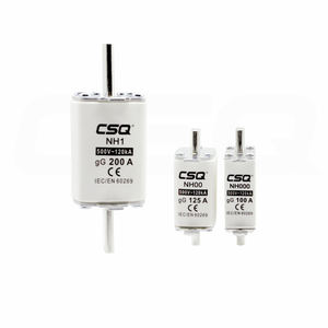 CSQ Nt2 Lv 315A ตัดออก <span class=keywords><strong>Nh</strong></span> Hrc เซรามิก Rt16-00 30A <span class=keywords><strong>Nh2</strong></span> 20A ทองแดง T3ลิงค์ฟิวส์63A 80A 15A - Product Image 1