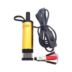 <span class=keywords><strong>12V</strong></span> 24V DC Электрический погружной насос для перекачки дизельного масла воды, 38 мм насос для перекачки топлива, масляный всасывающий насос для перекачки топлива - Product Image 1