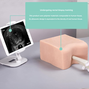 Modello in Silicone per Addestramento alla Biopsia Prostatica 1:1, Modello a Densità Tissutale per Pratica di Puntura Guidata ad Ultrasuoni - Product Image 5