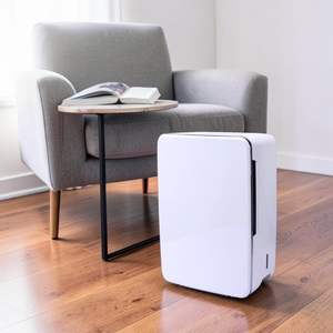 Deshumidificador Purificador de Aire DDC ISO 9001 para Uso Comercial, 4L, Secado Definitivo, Ligero, Personalizable - Product Image 1