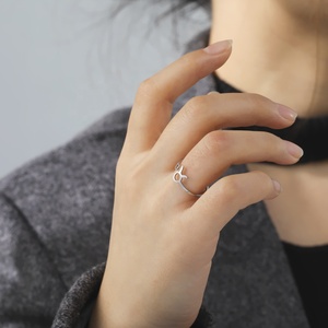 12 Sterrenbeelden <span class=keywords><strong>Gemini</strong></span> <span class=keywords><strong>Ring</strong></span> Roestvrij Staal Verstelbare Opening Dames En Heren Sieraden Mode Verjaardagscadeau Groothandel - Product Image 4