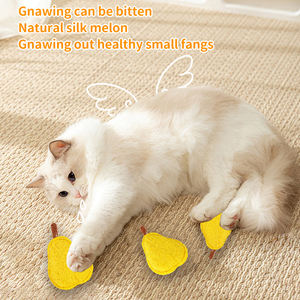 Juguete de seda para gatos con forma de calabaza, herramientas para limpiar y rechinar los dientes, para el autoentretenimiento, suministros transfronterizos para mascotas, marca Loofah, peras de menta para gatos - Product Image 3