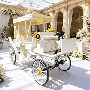 Élégante carrosse de parade électrique de style princesse pour location événementielle, mariages et événements touristiques - Product Image 3