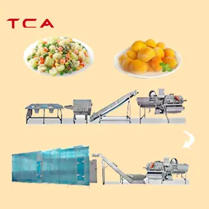 Ligne de production de légumes surgelés TCA ligne de fruits et légumes iqf pour concombres tomates et pois mange-tout