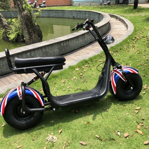 Compre Hoy Mismo una Bicicleta Eléctrica en China, Citycoco de Alta Calidad, 200 kg, Stock Original - Product Image 5