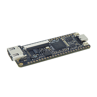 시피드 탕 나노 9K FPGA 개발 보드 GOWIN GW1NR-9 RISC-V