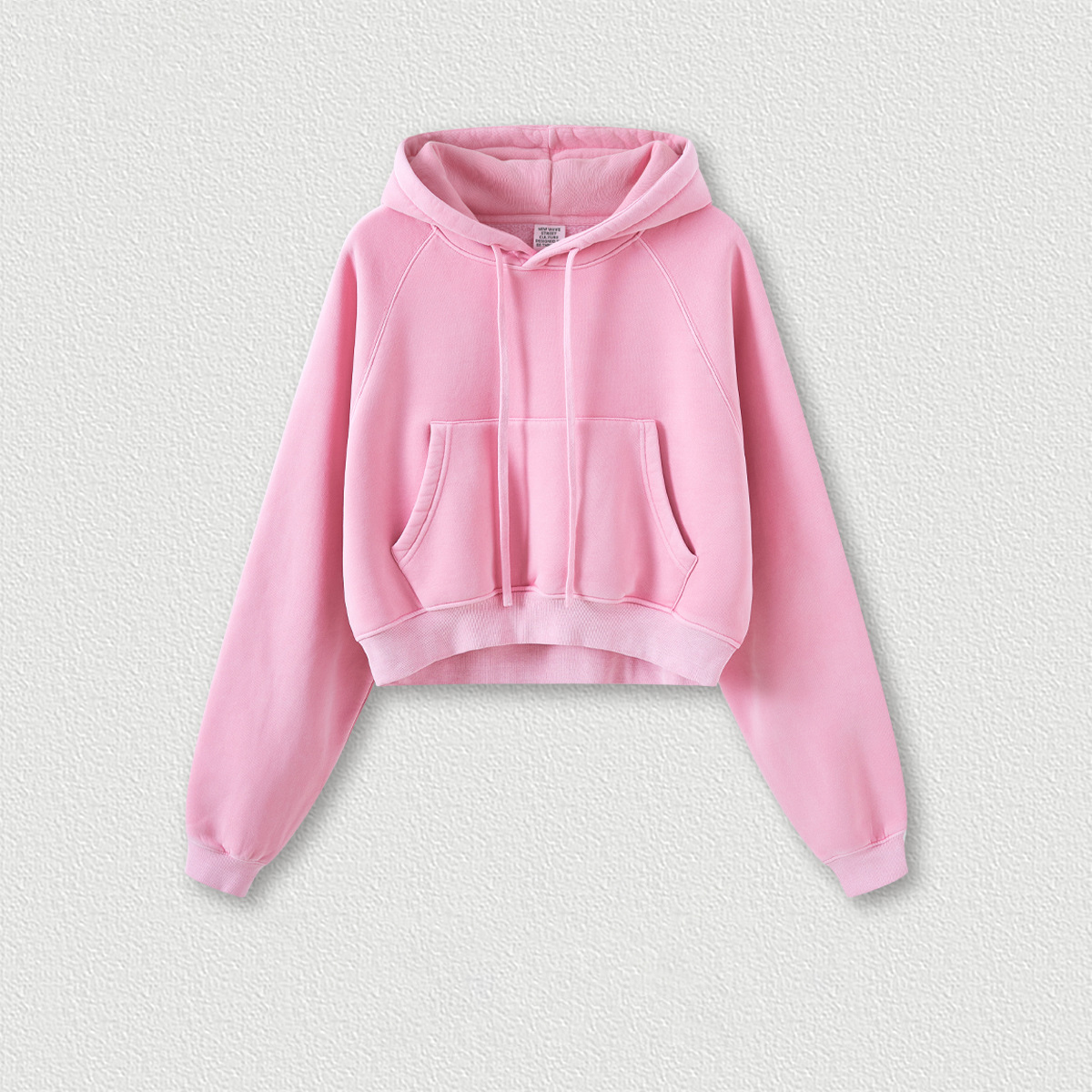 Rosa rosa