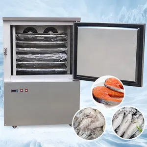 Pendingin Udara R404a Industri Mesin Cetak Daging Freezer Cepat