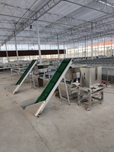 Machine de semis automatique pour plateaux de semis, entièrement automatique, remplissage de terre pour pépinière, perforation de trous et équipement de semis de précision - Product Image 6