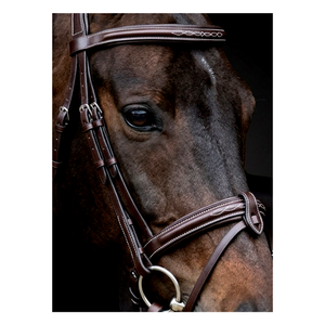 Bridon de dressage anatomique de luxe en cuir rembourré marron Havana, avec surmêchoir flash et surpiqûres fantaisie personnalisées - Product Image 5