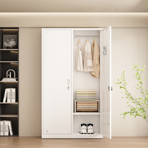 Meubles modernes pour la maison, la chambre à coucher, armoire de rangement pour vêtements, métal, acier, armoire Almirah, armoire à 2 portes doubles - Product Image 1