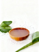 Extracto líquido de aloe vera OEM a granel, transparente, para desarrollo versátil de productos en cosmética y aplicaciones generales