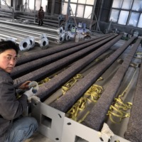 Postes de Luz Cónicos, Cuadrados y Octogonales de 5M, 6M, 8M y 12M, de Acero Galvanizado para Alumbrado Público