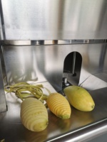 Daqiao Automatische Mango Schilmachine Auto Industrieel Fruit Mango 'S Professionele Dunschiller En Buitmachine Prijs