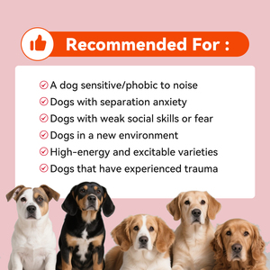 All'ingrosso naturale animale domestico calmante morbido mastica integratore supporto cane ansia Stress e ansia da separazione con melatonina - Product Image 3