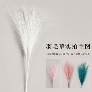 Yuan Nuo Feather <b>Grass</b> <b>Dried</b> Flower 60cm Soft Decor For Floral Arrangement - Product Image 1
