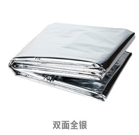 Pet bifacciale argento