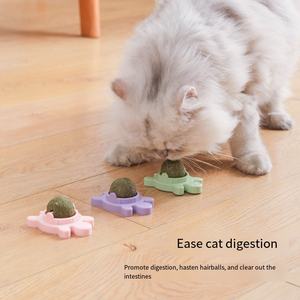 Lynpet, оптовая продажа, кошачья мята, настенная игрушка, современный мультяшный стиль, жевательные лакомства для собак, картонная упаковка - Product Image 6