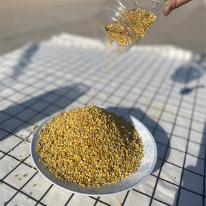Polen de Abeja Mixto Orgánico al por Mayor de Buena Calidad de Fábrica de Alimentos Saludables - Product Image 6