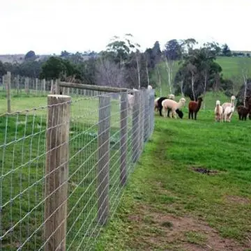 Chèvre et mouton 4x4 carrés 4 pied clôture de ferme en fil métallique
