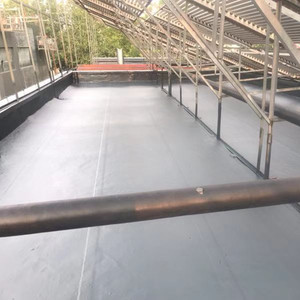 Revestimiento impermeable de poliurea en aerosol de poliurea de alta calidad y precio favorable para techos exteriores - Product Image 6