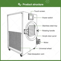 Mini Lyophilisateur Domestique pour Fruits Séchés et Aliments - Machine de Déshydratation Compacte pour la Maison