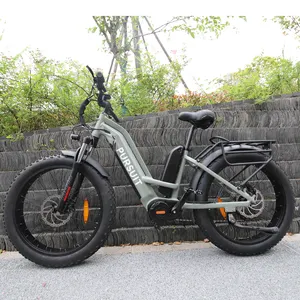 Ready to ship mid motor ebike dual battery fast delivery electric fat bike 1000w free shipping ebike