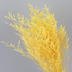 ดอกลิโมเ<span class=keywords><strong>น</strong></span>ียมแห้งธรรมชาติขายส่ง สำหรับตกแต่งบ้านในเทศกาลอีสเตอร์ ขนาด 70 ซม. - Product Image 6