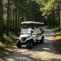 Voiturette de golf électrique personnalisée Rainbow 6 places avec batterie au lithium 72V et moteur 5kW certifiée DOT pour les terrains de golf et les clubs