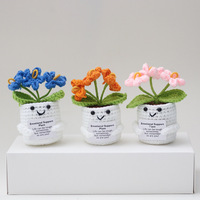 Jarrey coloré Crochet tricoté fleur avec Pot fait à la main Crochet plante de soutien émotionnel pour la décoration de bureau à domicile