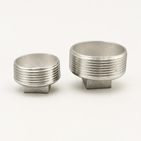 Bouchon de tuyau à tête carrée fileté mâle SUS304/316L/201, raccords filetés externes pour l'étanchéité des tuyaux, OEM