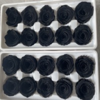 Bunga Mawar Kunming Putih Hitam Merah Abadi Alami Asli 10 PCS 4CM Mawar Awet Grosir-Harga Pabrik Hadiah Valentine DIY