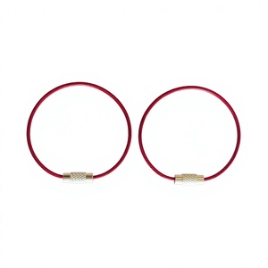 YIWANG Rouge En Acier Inoxydable Fil Porte-clés 150mm Fil Vis Serrure Porte-clés - Product Image 1