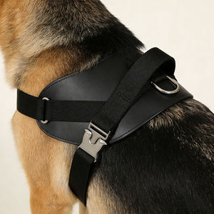 Arnés para Perro con Logotipo Personalizado, Chaleco Ajustable para Mascotas, Arnés de Diseño, Ropa de Moda para Mascotas - Product Image 3