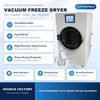Machine de lyophilisation sous vide OEM personnalisée, équipement de lyophilisation alimentaire industriel, certifié CE