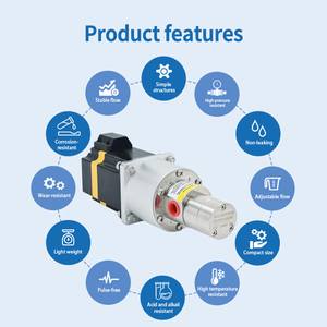 Bomba de Engranajes de Baja Presión de Alta Precisión de 24V con Acoplamiento Magnético OEM, Micro PTFE de Acero Inoxidable 316L para Agroquímicos - Product Image 4