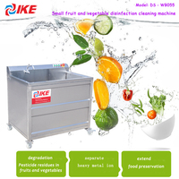 Machine de nettoyage de fruits automatique IKE fournie 220V ISO Machine à laver à bulles de fruits légumes rondelle de fruits acier inoxydable 304