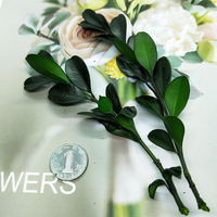 Immortal Lobule Buis Saint Valentin Fête des Mères Décoration Feuille Guirlande DIY Transfrontalier En Gros Fleurs Séchées Longue
