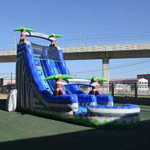 Tobogán Acuático Inflable Comercial con Diseño de Palmera, Toboganes de Alta Calidad para Alquiler en Fiestas - Product Image 1