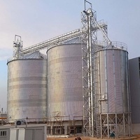 Silo en acier de 800 tonnes Silos de stockage de blé grain 1000 tn Silo à grains aux Philippines