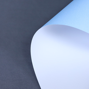 FLY 115G Inkjet Media Giấy Màu Xanh Cho Mực Dung Môi - Product Image 2