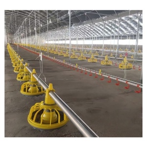 Équipement complet de ligne d'alimentation pour l'élevage avicole, système d'alimentation automatique pour poulets, équipement d'élevage de volailles, mangeoire pour poulets - Product Image 1