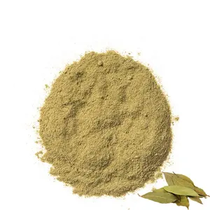 Wholesale Natural Spices Powder Bulk Ground Bay Leaves Powder Bay Leaf Powder